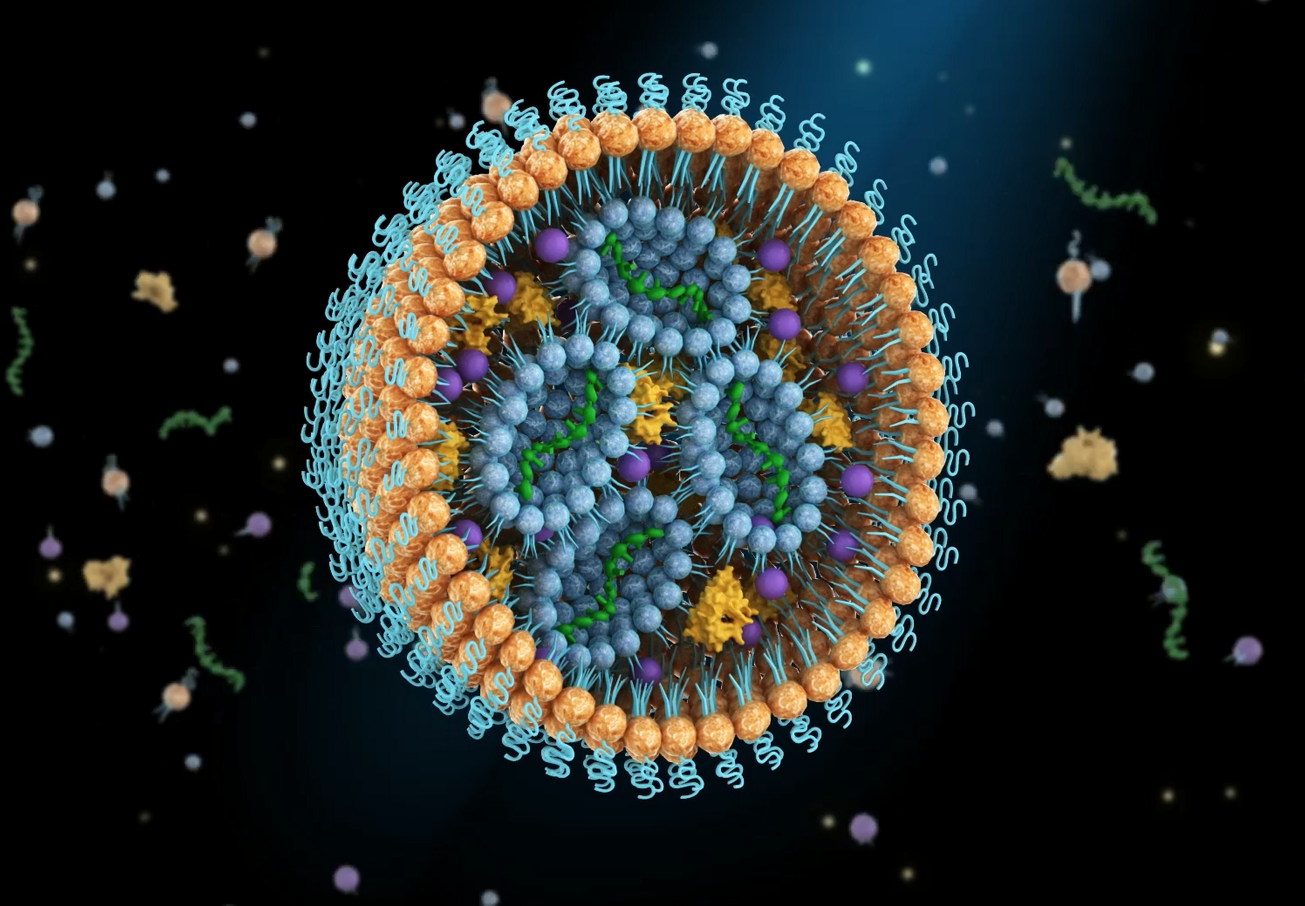 17133364884780164101305_906