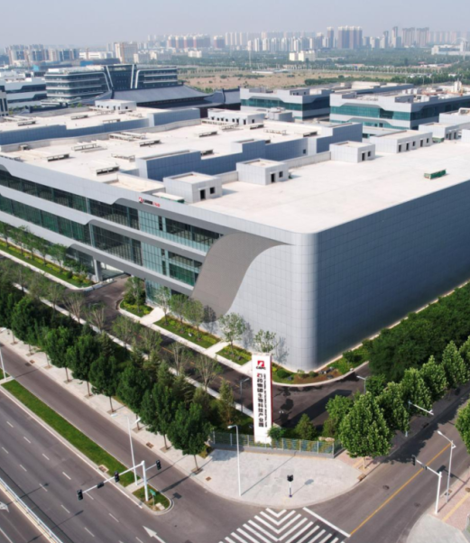 1768984255754025710521_602